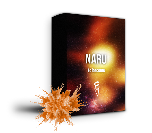 Sejoh NARU - SAMPLE PACK